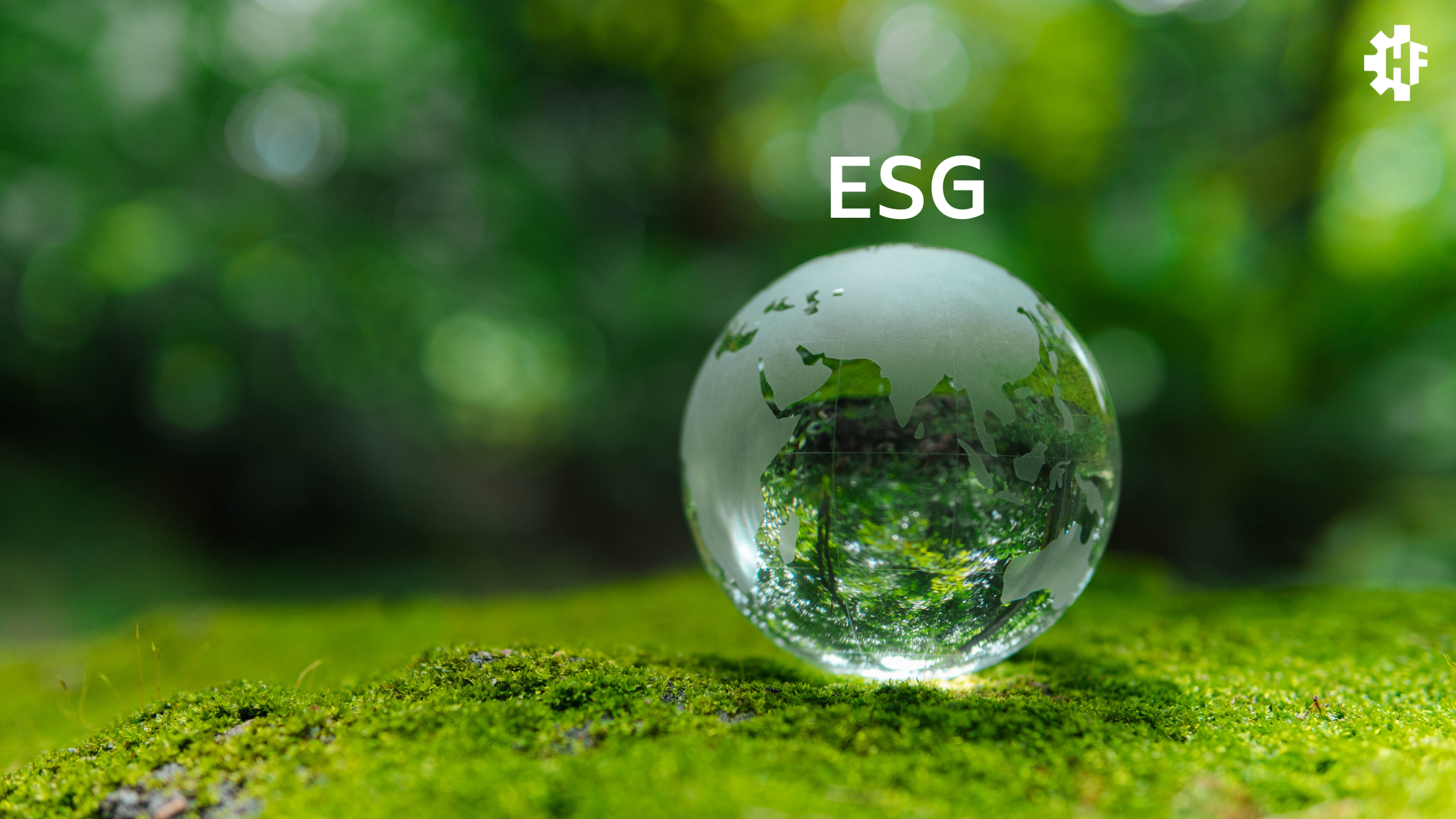 ESG certification: A step forward for HF Group sustainability